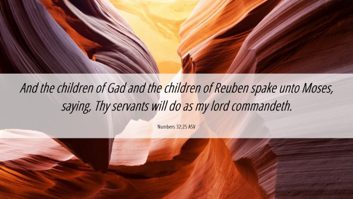 Picture 06 - Numbers 32:25 ASV Desktop Wallpaper - And the children of Gad and the children of - Desktop Bible Verse Wallpaper