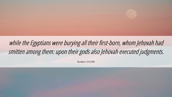 Picture 06 - Numbers 33:4 ASV Desktop Wallpaper - while the Egyptians were burying all their - Desktop Bible Verse Wallpaper