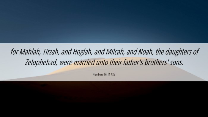 Picture 06 - Numbers 36:11 ASV Desktop Wallpaper - for Mahlah, Tirzah, and Hoglah, and Milcah, and - Desktop Bible Verse Wallpaper