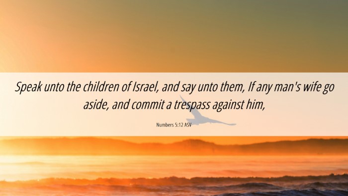 Picture 06 - Numbers 5:12 ASV Desktop Wallpaper - Speak unto the children of Israel, and say unto - Desktop Bible Verse Wallpaper