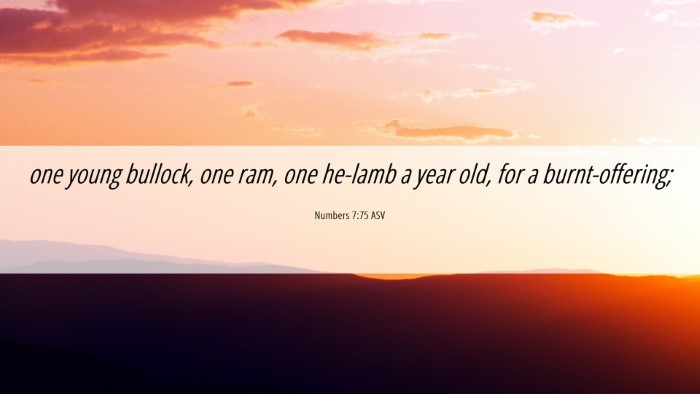 Picture 06 - Numbers 7:75 ASV Desktop Wallpaper - one young bullock, one ram, one he-lamb a year - Desktop Bible Verse Wallpaper