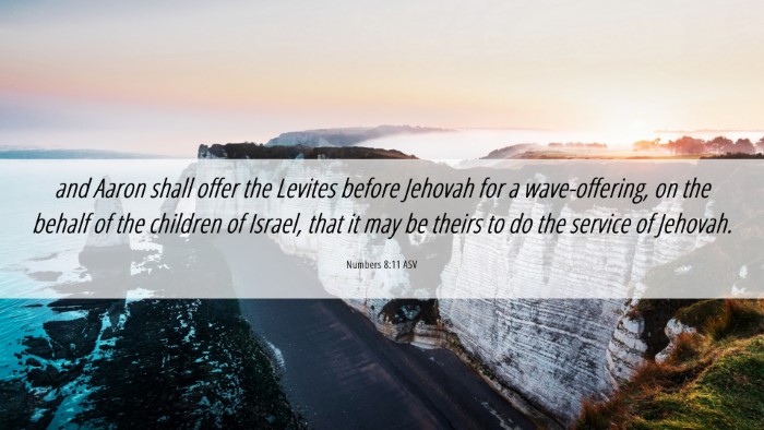 Picture 06 - Numbers 8:11 ASV Desktop Wallpaper - and Aaron shall offer the Levites before Jehovah - Desktop Bible Verse Wallpaper