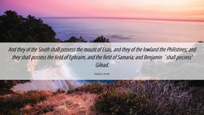 Picture 06 - Obadiah 1:19 ASV Desktop Wallpaper - And they of the South shall possess the mount of - Desktop Bible Verse Wallpaper