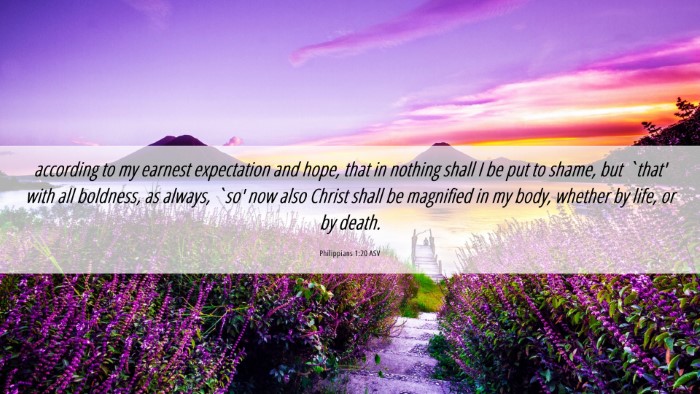 Picture 06 - Philippians 1:20 ASV Desktop Wallpaper - according to my earnest expectation and hope, - Desktop Bible Verse Wallpaper