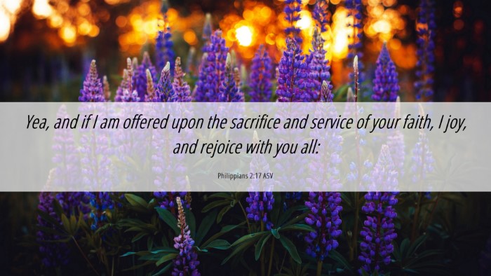 Picture 06 - Philippians 2:17 ASV Desktop Wallpaper - Yea, and if I am offered upon the sacrifice and - Desktop Bible Verse Wallpaper