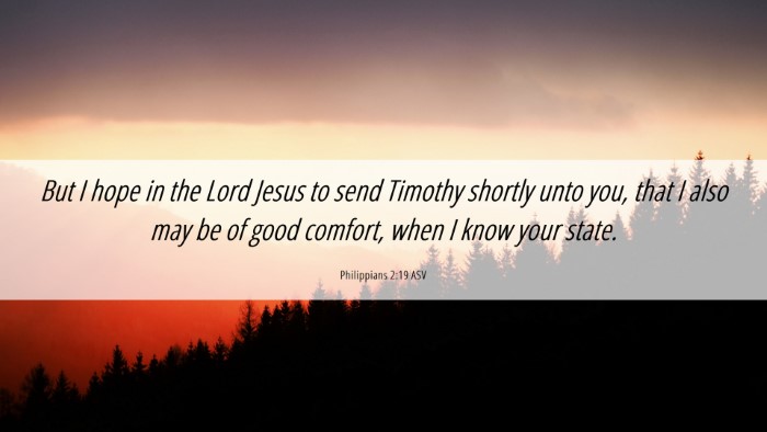 Picture 06 - Philippians 2:19 ASV Desktop Wallpaper - But I hope in the Lord Jesus to send Timothy - Desktop Bible Verse Wallpaper