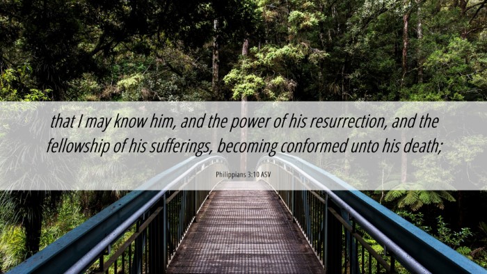 Picture 06 - Philippians 3:10 ASV Desktop Wallpaper - that I may know him, and the power of his - Desktop Bible Verse Wallpaper