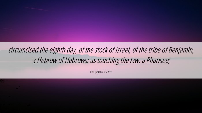 Picture 06 - Philippians 3:5 ASV Desktop Wallpaper - circumcised the eighth day, of the stock of - Desktop Bible Verse Wallpaper