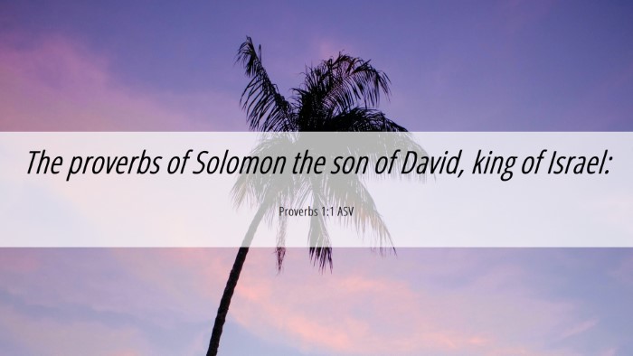 Picture 06 - Proverbs 1:1 ASV Desktop Wallpaper - The proverbs of Solomon the son of David, king of - Desktop Bible Verse Wallpaper