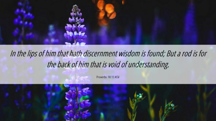 Picture 06 - Proverbs 10:13 ASV Desktop Wallpaper - In the lips of him that hath discernment wisdom - Desktop Bible Verse Wallpaper