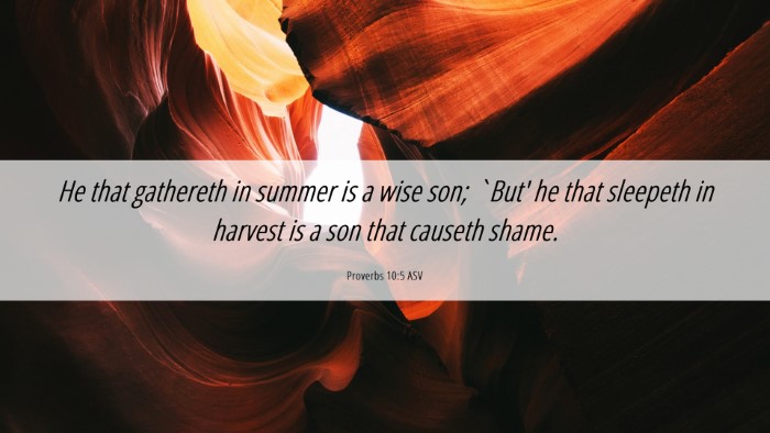 Picture 06 - Proverbs 10:5 ASV Desktop Wallpaper - He that gathereth in summer is a wise son; `But' - Desktop Bible Verse Wallpaper