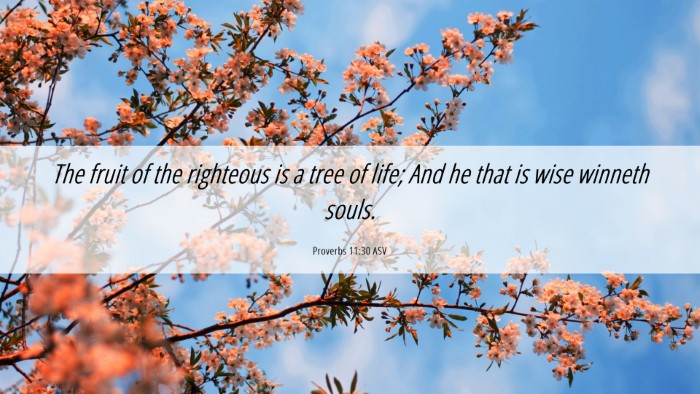 Picture 06 - Proverbs 11:30 ASV Desktop Wallpaper - The fruit of the righteous is a tree of life; And - Desktop Bible Verse Wallpaper