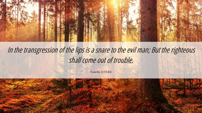 Picture 06 - Proverbs 12:13 ASV Desktop Wallpaper - In the transgression of the lips is a snare to - Desktop Bible Verse Wallpaper