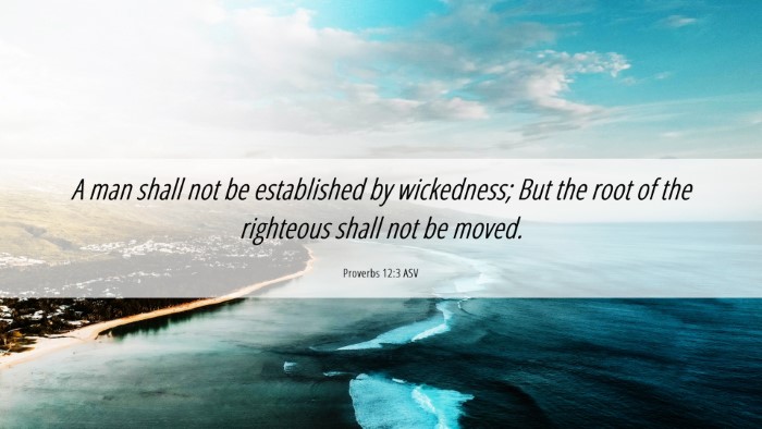 Picture 06 - Proverbs 12:3 ASV Desktop Wallpaper - A man shall not be established by wickedness; But - Desktop Bible Verse Wallpaper