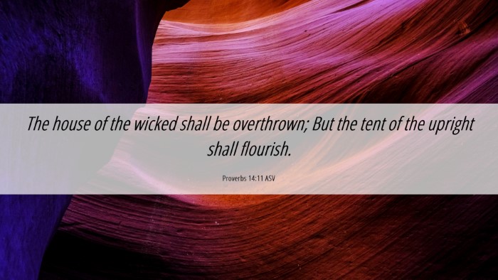 Picture 06 - Proverbs 14:11 ASV Desktop Wallpaper - The house of the wicked shall be overthrown; But - Desktop Bible Verse Wallpaper