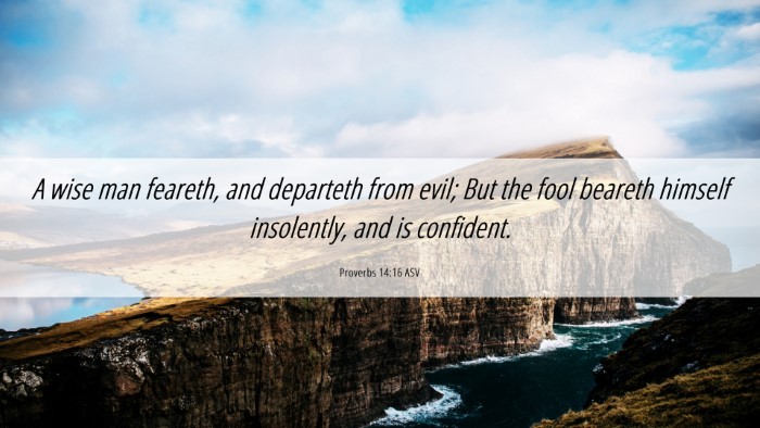 Picture 06 - Proverbs 14:16 ASV Desktop Wallpaper - A wise man feareth, and departeth from evil; But - Desktop Bible Verse Wallpaper