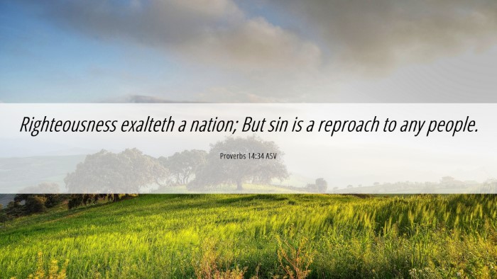 Picture 06 - Proverbs 14:34 ASV Desktop Wallpaper - Righteousness exalteth a nation; But sin is a - Desktop Bible Verse Wallpaper