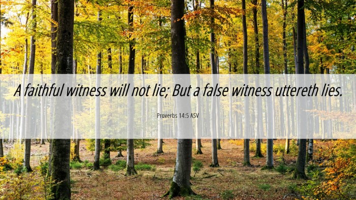 Picture 06 - Proverbs 14:5 ASV Desktop Wallpaper - A faithful witness will not lie; But a false - Desktop Bible Verse Wallpaper