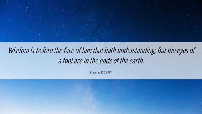 Picture 06 - Proverbs 17:24 ASV Desktop Wallpaper - Wisdom is before the face of him that hath - Desktop Bible Verse Wallpaper