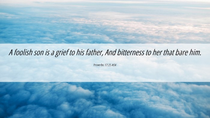 Picture 06 - Proverbs 17:25 ASV Desktop Wallpaper - A foolish son is a grief to his father, And - Desktop Bible Verse Wallpaper