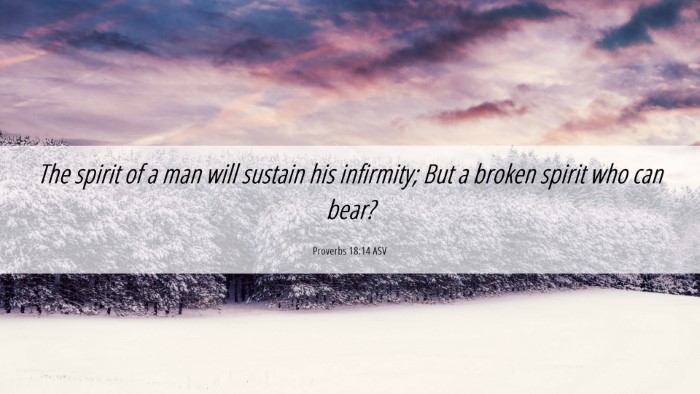 Picture 06 - Proverbs 18:14 ASV Desktop Wallpaper - The spirit of a man will sustain his infirmity; - Desktop Bible Verse Wallpaper