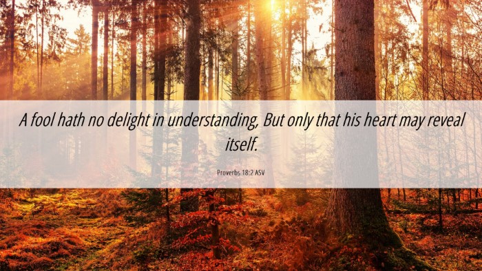 Picture 06 - Proverbs 18:2 ASV Desktop Wallpaper - A fool hath no delight in understanding, But only - Desktop Bible Verse Wallpaper