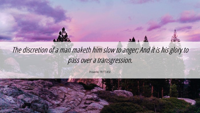 Picture 06 - Proverbs 19:11 ASV Desktop Wallpaper - The discretion of a man maketh him slow to anger; - Desktop Bible Verse Wallpaper