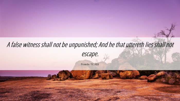 Picture 06 - Proverbs 19:5 ASV Desktop Wallpaper - A false witness shall not be unpunished; And he - Desktop Bible Verse Wallpaper