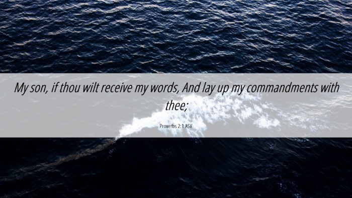 Picture 06 - Proverbs 2:1 ASV Desktop Wallpaper - My son, if thou wilt receive my words, And lay up - Desktop Bible Verse Wallpaper