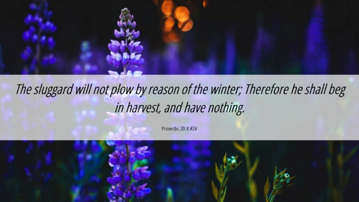 Picture 06 - Proverbs 20:4 ASV Desktop Wallpaper - The sluggard will not plow by reason of the - Desktop Bible Verse Wallpaper