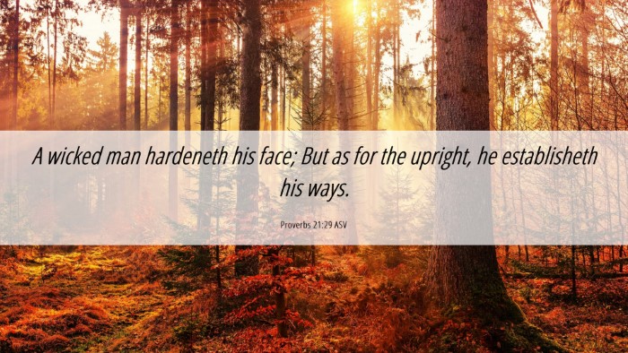 Picture 06 - Proverbs 21:29 ASV Desktop Wallpaper - A wicked man hardeneth his face; But as for the - Desktop Bible Verse Wallpaper