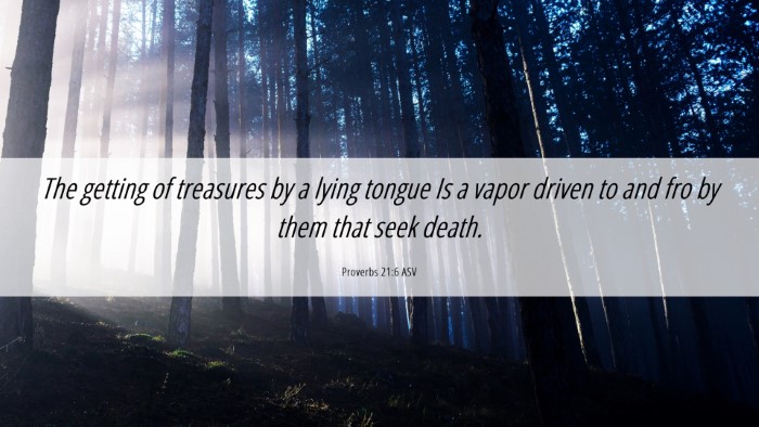 Picture 06 - Proverbs 21:6 ASV Desktop Wallpaper - The getting of treasures by a lying tongue Is a - Desktop Bible Verse Wallpaper