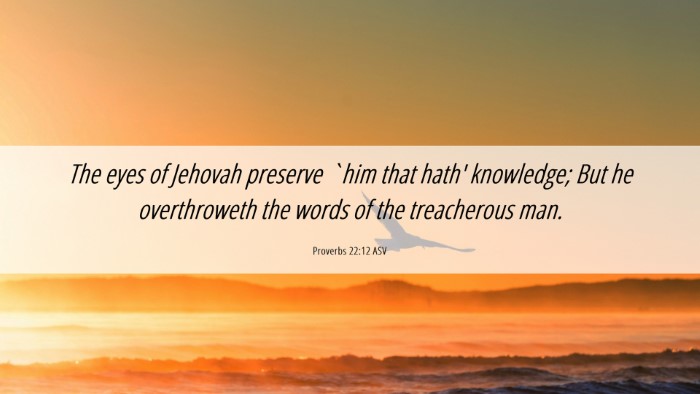 Picture 06 - Proverbs 22:12 ASV Desktop Wallpaper - The eyes of Jehovah preserve `him that hath' - Desktop Bible Verse Wallpaper