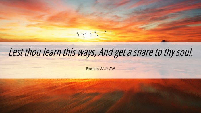 Picture 06 - Proverbs 22:25 ASV Desktop Wallpaper - Lest thou learn this ways, And get a snare to thy - Desktop Bible Verse Wallpaper