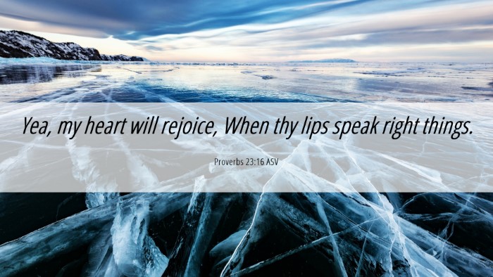 Picture 06 - Proverbs 23:16 ASV Desktop Wallpaper - Yea, my heart will rejoice, When thy lips speak - Desktop Bible Verse Wallpaper