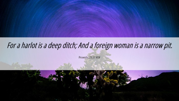 Picture 06 - Proverbs 23:27 ASV Desktop Wallpaper - For a harlot is a deep ditch; And a foreign woman - Desktop Bible Verse Wallpaper