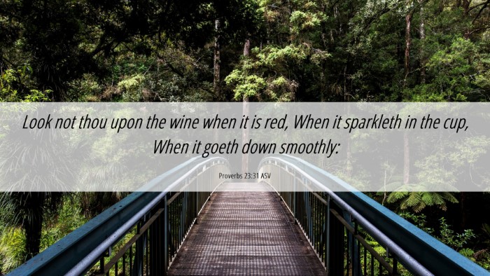 Picture 06 - Proverbs 23:31 ASV Desktop Wallpaper - Look not thou upon the wine when it is red, When - Desktop Bible Verse Wallpaper