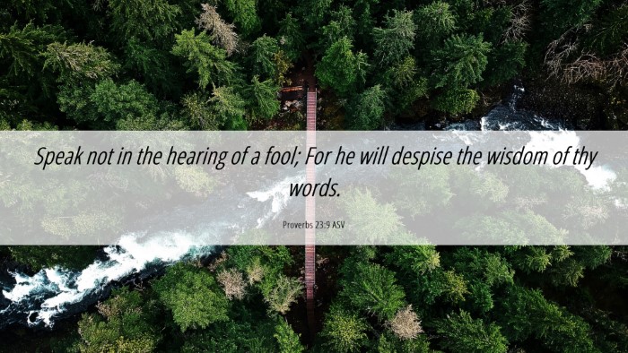 Picture 06 - Proverbs 23:9 ASV Desktop Wallpaper - Speak not in the hearing of a fool; For he will - Desktop Bible Verse Wallpaper