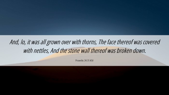 Picture 06 - Proverbs 24:31 ASV Desktop Wallpaper - And, lo, it was all grown over with thorns, The - Desktop Bible Verse Wallpaper