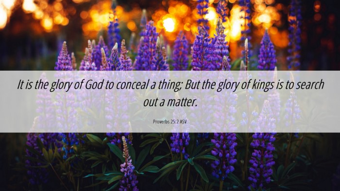 Picture 06 - Proverbs 25:2 ASV Desktop Wallpaper - It is the glory of God to conceal a thing; But - Desktop Bible Verse Wallpaper