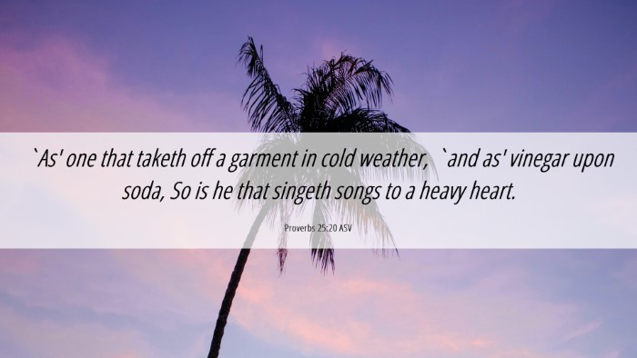 Picture 06 - Proverbs 25:20 ASV Desktop Wallpaper - `As' one that taketh off a garment in cold - Desktop Bible Verse Wallpaper