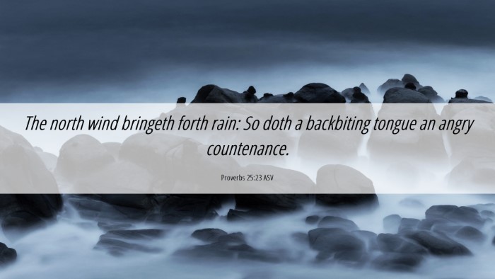 Picture 06 - Proverbs 25:23 ASV Desktop Wallpaper - The north wind bringeth forth rain: So doth a - Desktop Bible Verse Wallpaper
