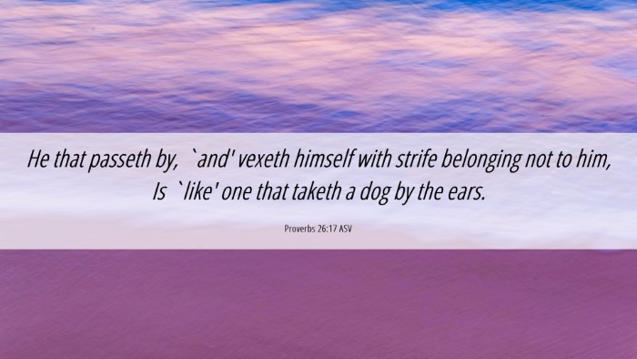 Picture 06 - Proverbs 26:17 ASV Desktop Wallpaper - He that passeth by, `and' vexeth himself with - Desktop Bible Verse Wallpaper