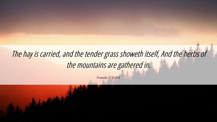 Picture 06 - Proverbs 27:25 ASV Desktop Wallpaper - The hay is carried, and the tender grass showeth - Desktop Bible Verse Wallpaper
