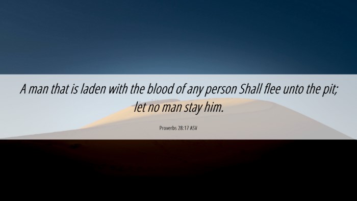 Picture 06 - Proverbs 28:17 ASV Desktop Wallpaper - A man that is laden with the blood of any person - Desktop Bible Verse Wallpaper