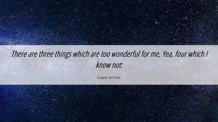Picture 06 - Proverbs 30:18 ASV Desktop Wallpaper - There are three things which are too wonderful - Desktop Bible Verse Wallpaper