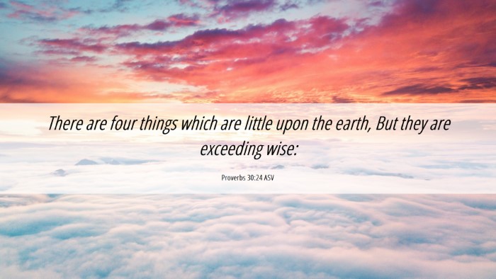 Picture 06 - Proverbs 30:24 ASV Desktop Wallpaper - There are four things which are little upon the - Desktop Bible Verse Wallpaper