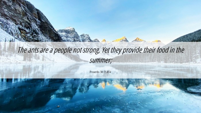 Picture 06 - Proverbs 30:25 ASV Desktop Wallpaper - The ants are a people not strong, Yet they - Desktop Bible Verse Wallpaper