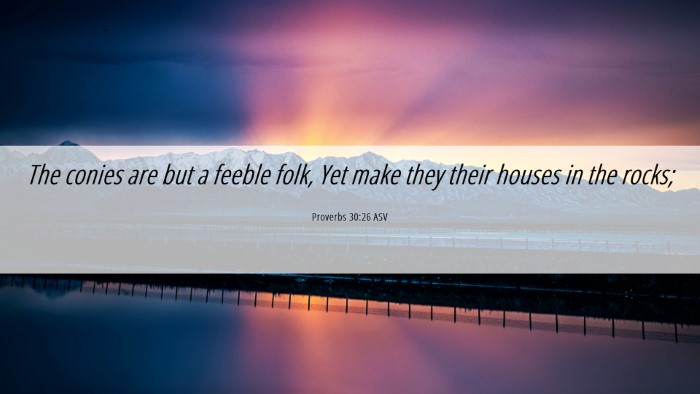 Picture 06 - Proverbs 30:26 ASV Desktop Wallpaper - The conies are but a feeble folk, Yet make they - Desktop Bible Verse Wallpaper