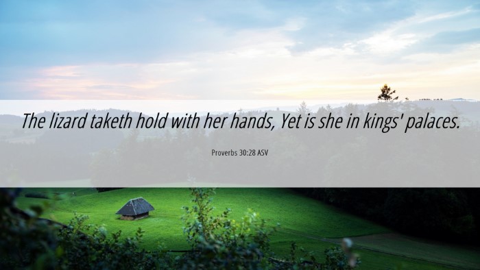 Picture 06 - Proverbs 30:28 ASV Desktop Wallpaper - The lizard taketh hold with her hands, Yet is she - Desktop Bible Verse Wallpaper